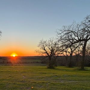 Meet your Posher, Audrey